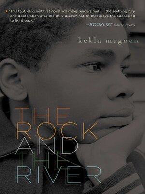 cover image of The Rock and the River